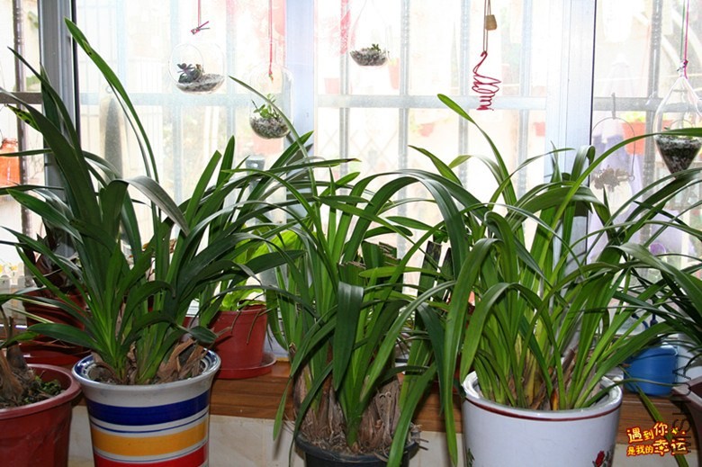 ��Ƭ 052_����.jpg