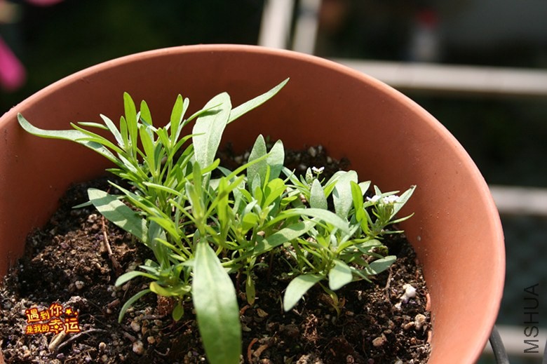 ��Ƭ 091_����.jpg