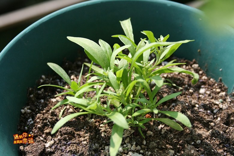 ��Ƭ 092_����.jpg