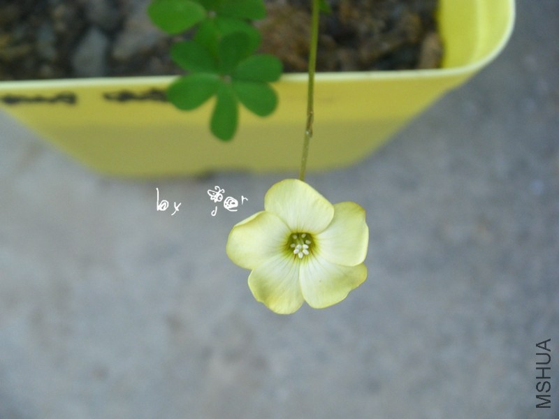 DSCF9271_����.jpg