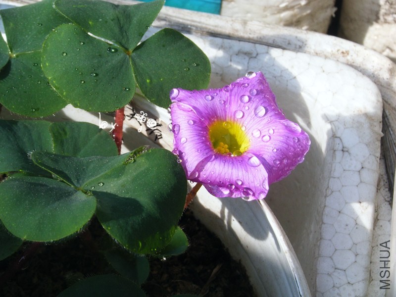 DSCF9273_����.jpg