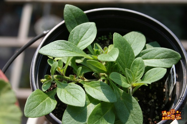 ��Ƭ 094_����.jpg