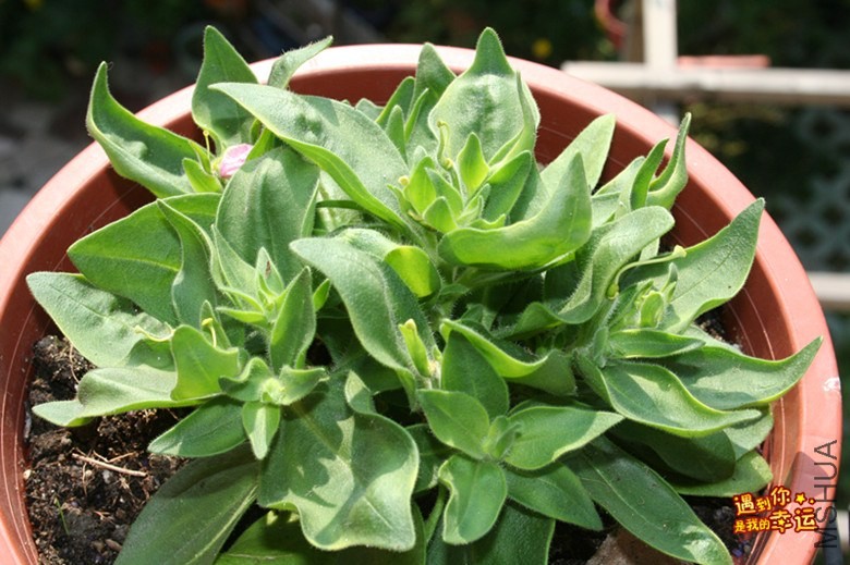 ��Ƭ 096_����.jpg