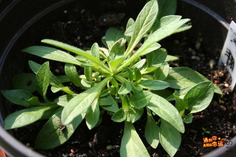 ��Ƭ 098_����.jpg