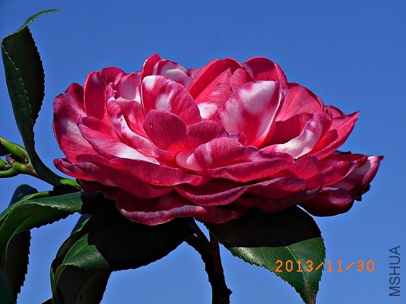 ��ؐ��a1.JPG