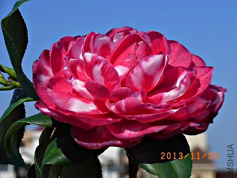 ��ؐ��a2.JPG
