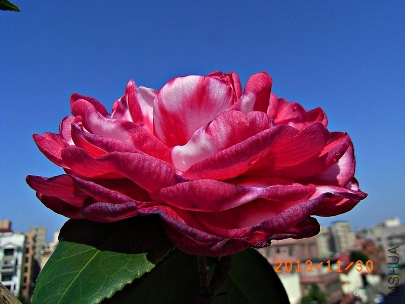 ��ؐ��a6.JPG