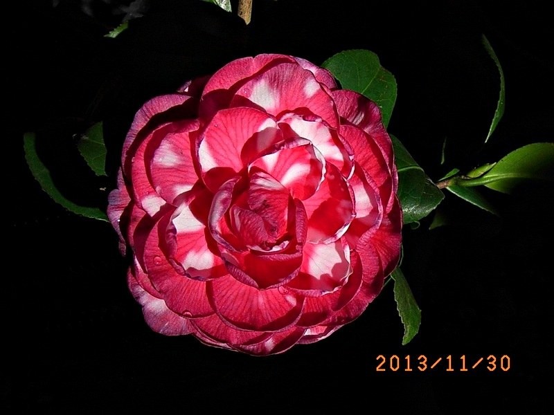 ��ؐ��a8.JPG