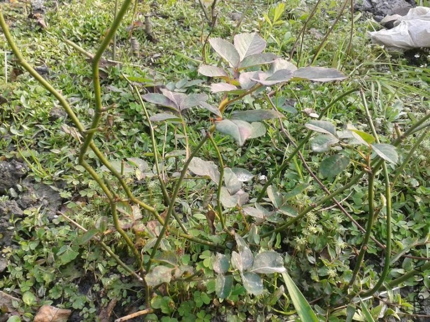 2013-11-30 15.15.33.jpg