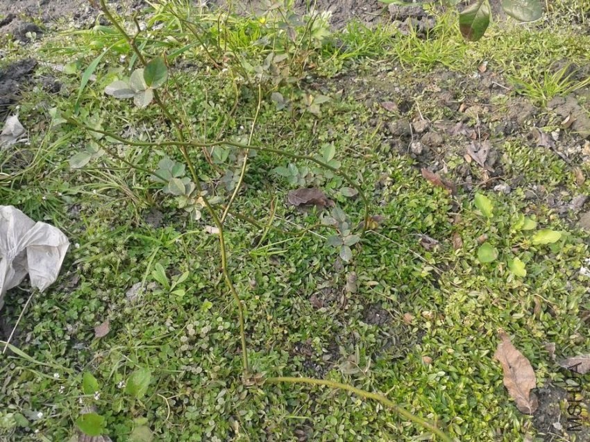 2013-11-30 15.15.20.jpg