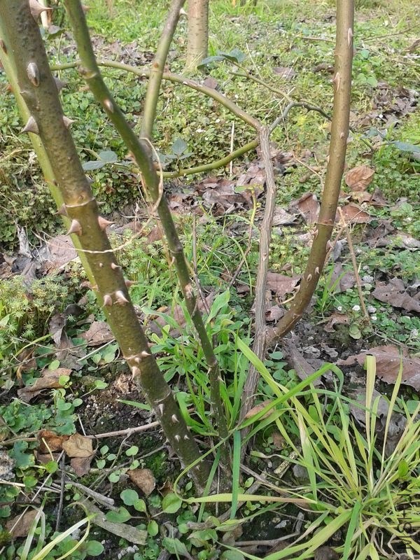 2013-11-30 15.19.11.jpg
