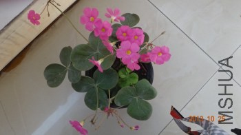 DSC04101_�༭.jpg