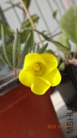 צ�ӿ����������ˣ�������û����л��
