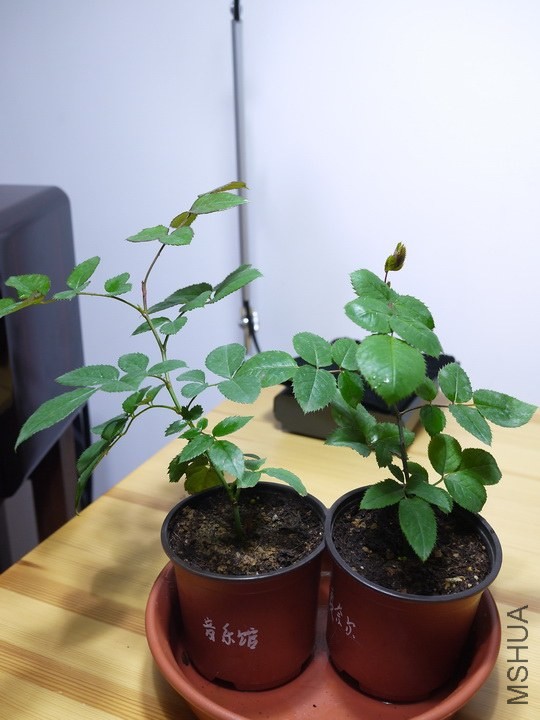 P1030847.JPG