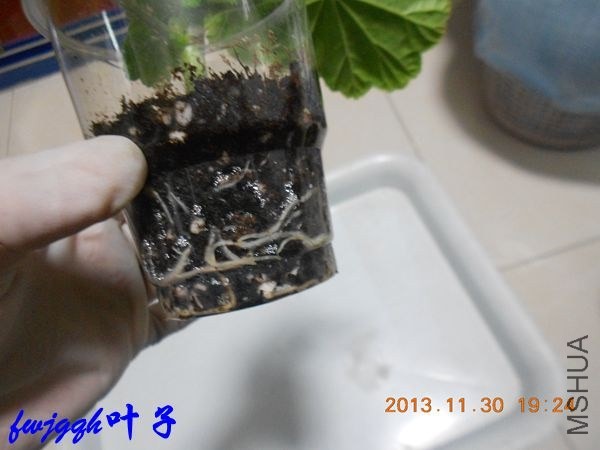 DSCN6213_����.jpg