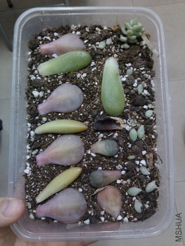 QQͼƬ20131130210718.jpg