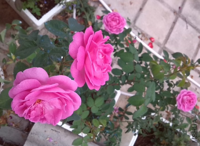QQ��ͼ20131201001548.jpg
