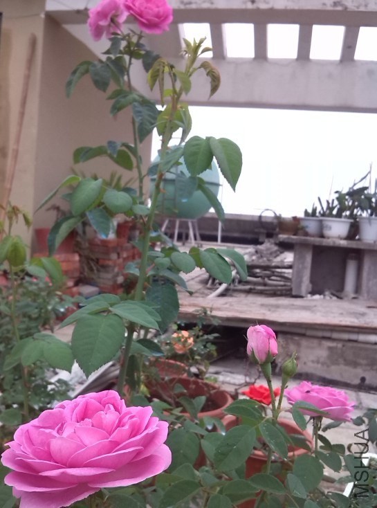 QQ��ͼ20131201001524.jpg