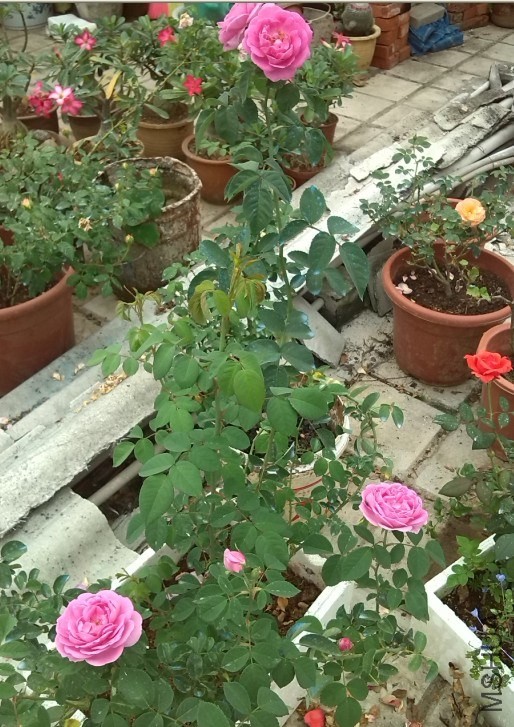 QQ��ͼ20131201001447.jpg