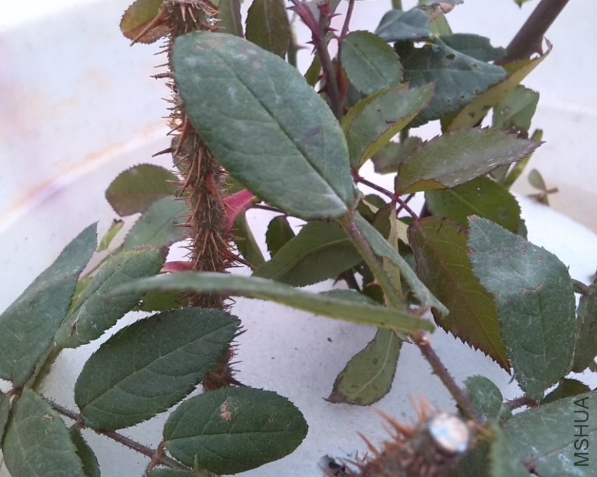 QQ��ͼ20131201001737.jpg