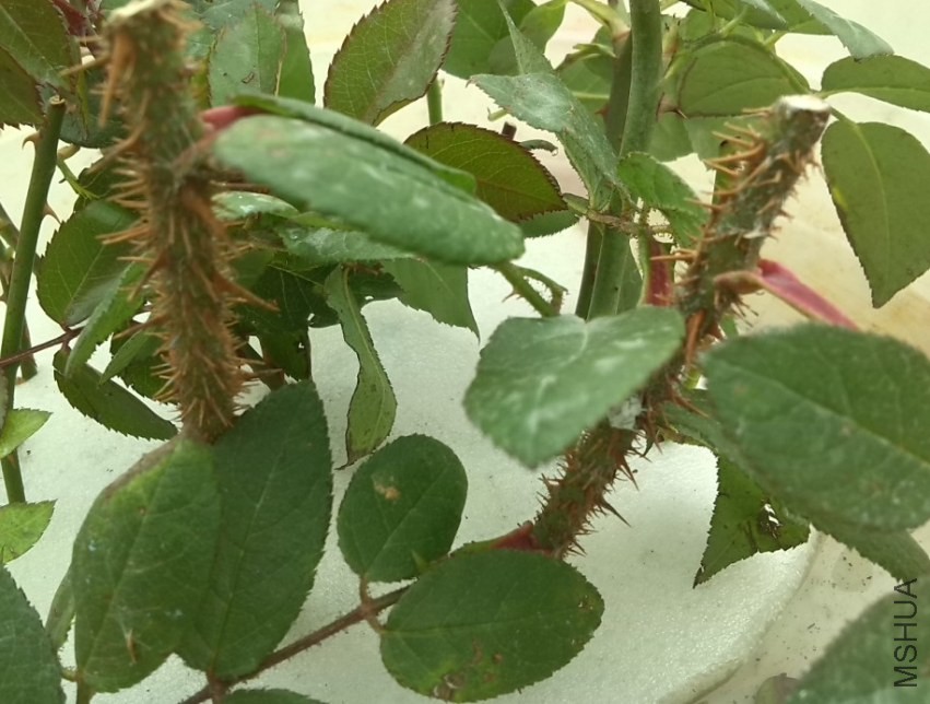 QQ��ͼ20131201001632.jpg