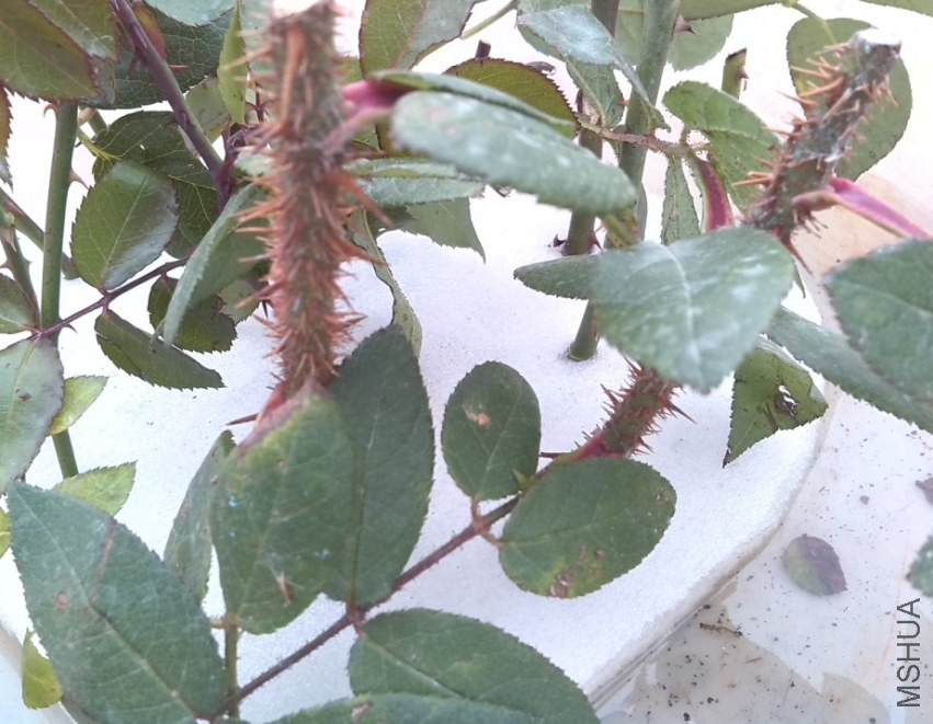 QQ��ͼ20131201001656.jpg