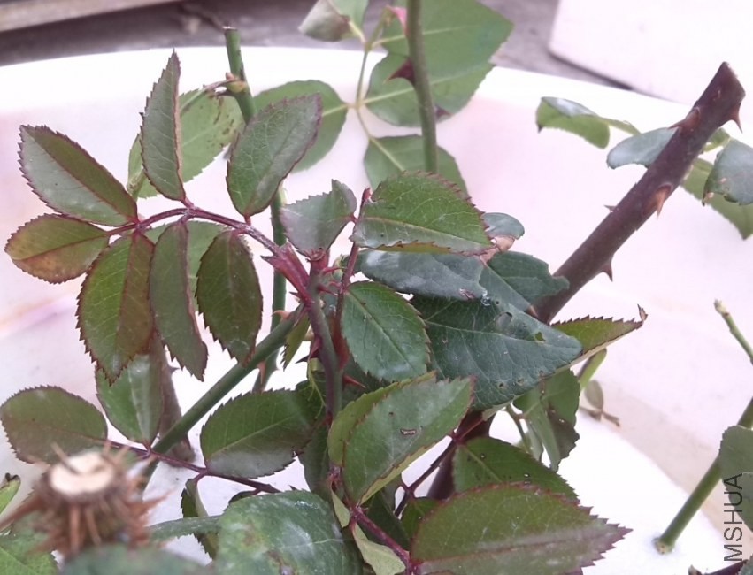 QQ��ͼ20131201001824.jpg