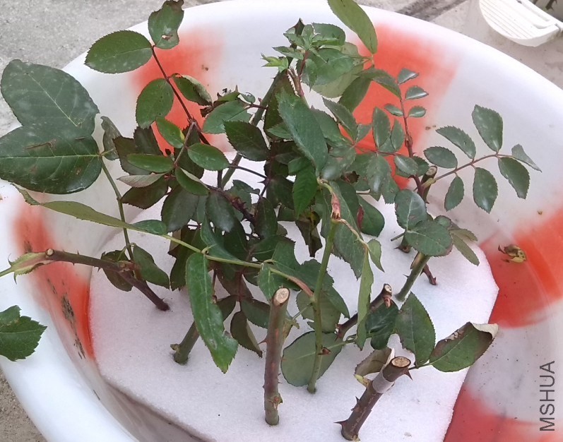 QQ��ͼ20131201001842.jpg