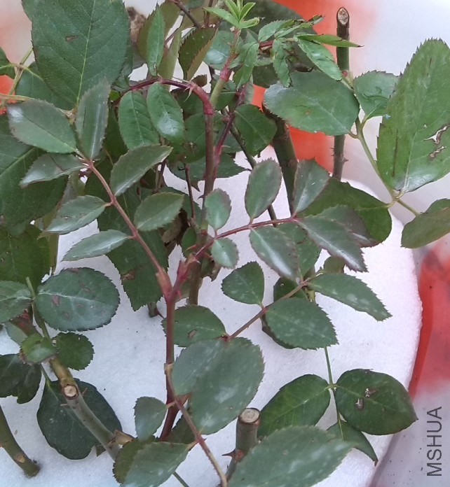 QQ��ͼ20131201001906.jpg