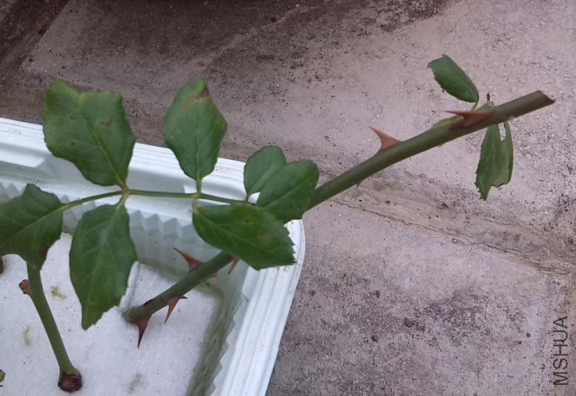 QQ��ͼ20131201001921.jpg
