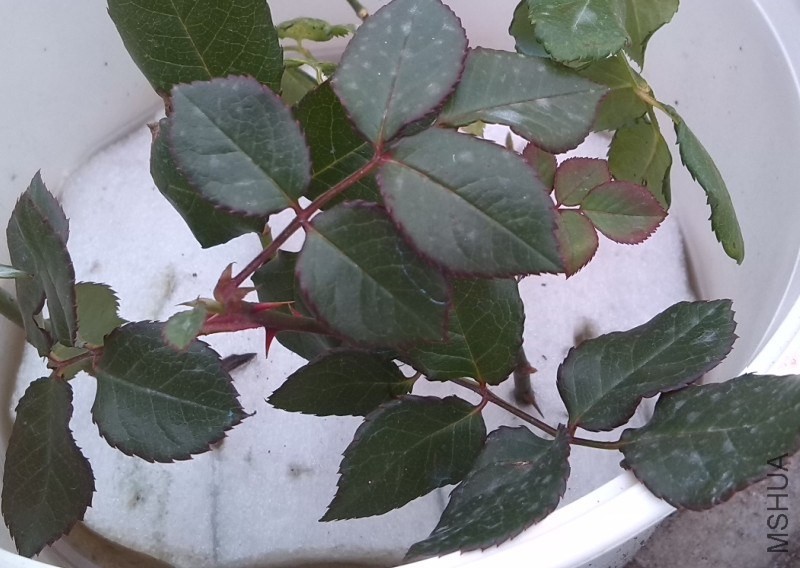 QQ��ͼ20131201001957.jpg