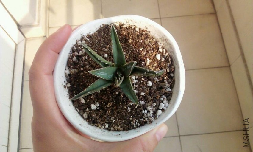 QQͼƬ20131201133535.jpg