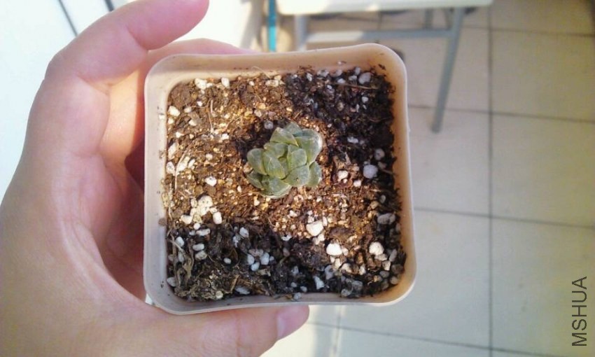 QQͼƬ20131201133528.jpg