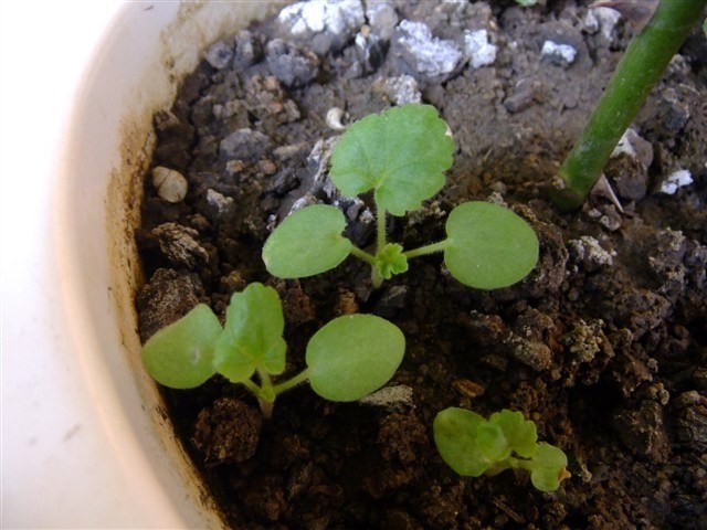 12��1���ĵ�