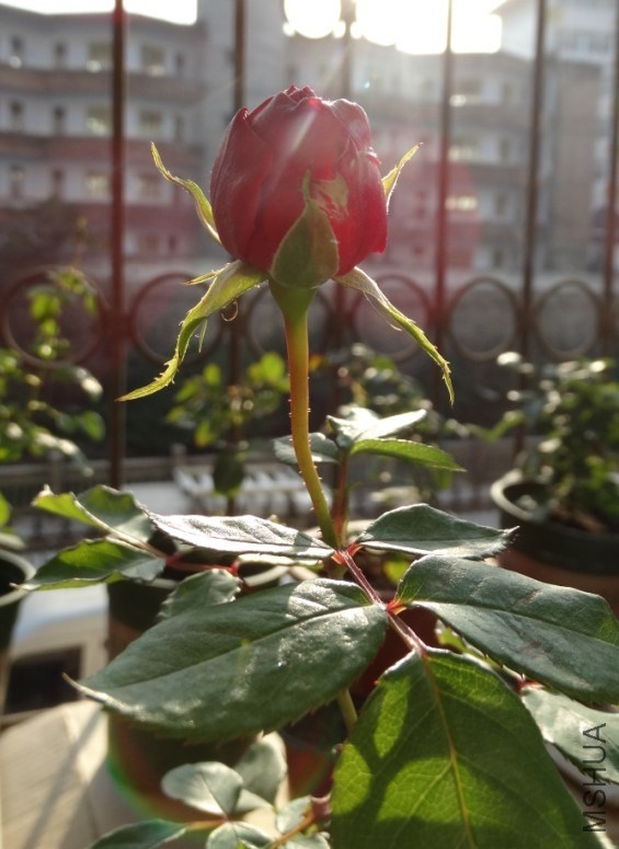 QQ��ͼ20131201162050.jpg