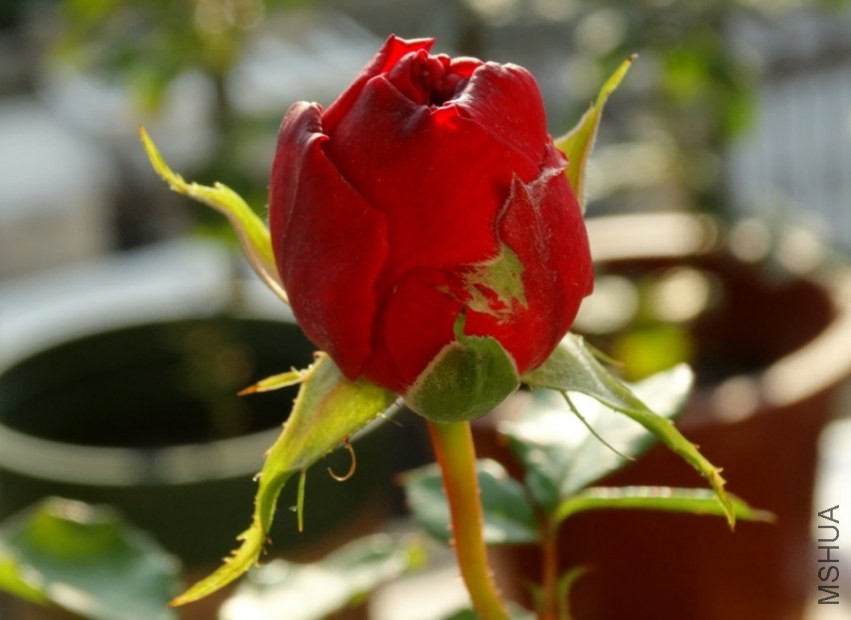 QQ��ͼ20131201162332.jpg