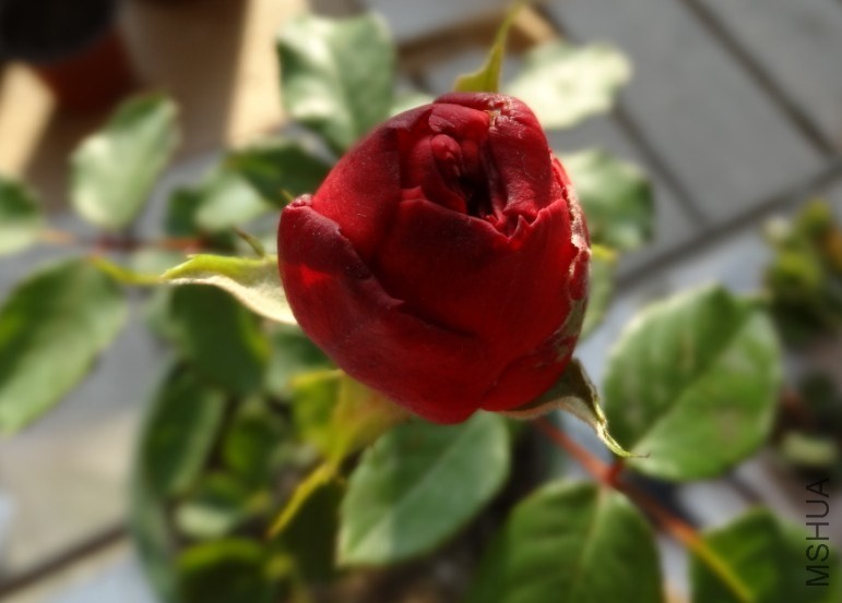 QQ��ͼ20131201162441.jpg
