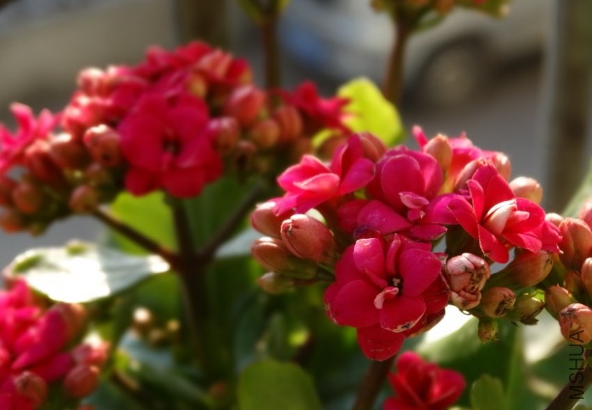 QQ��ͼ20131201162245.jpg