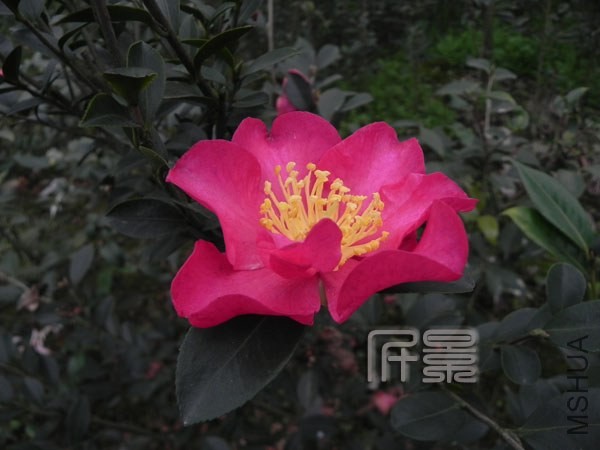 DSCN0155.jpg