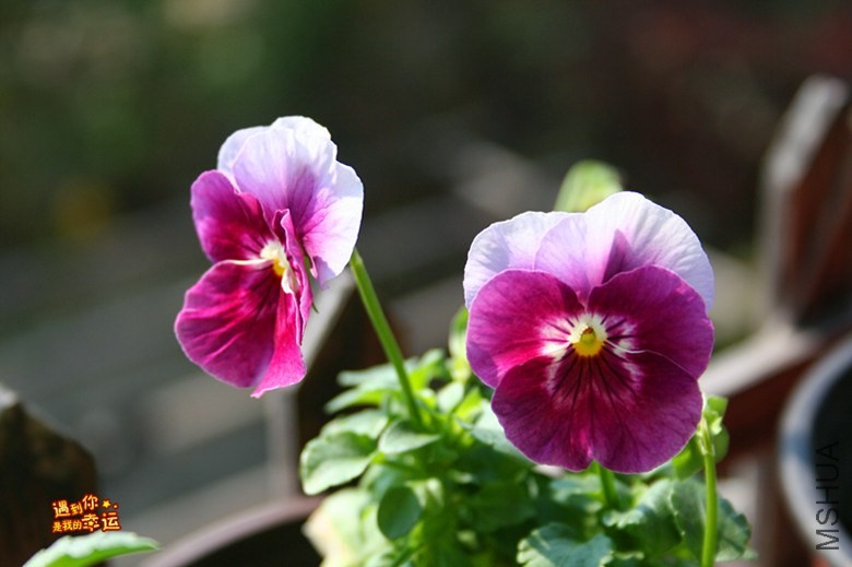 ��Ƭ 072_����.jpg