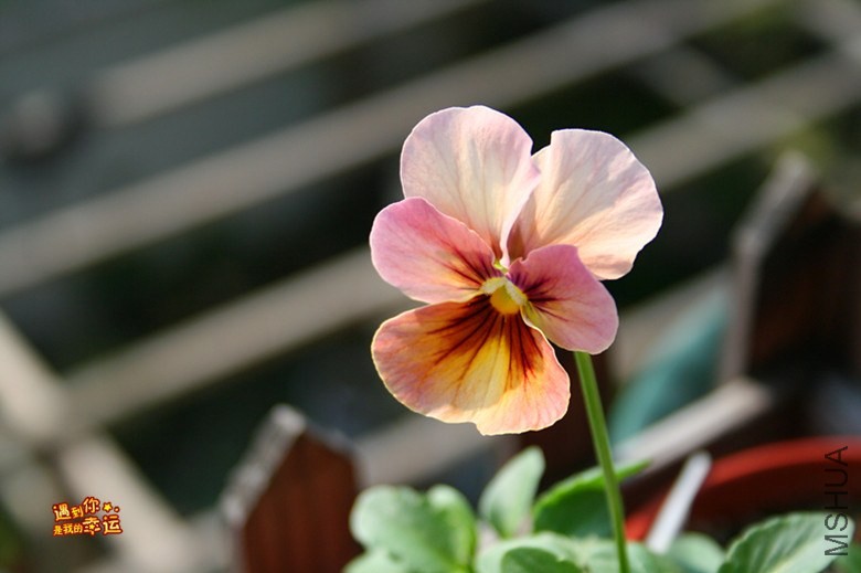 ��Ƭ 073_����.jpg