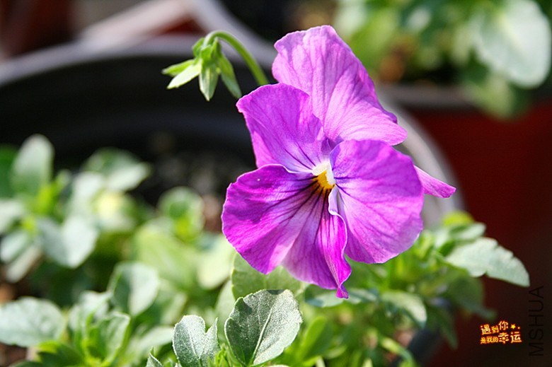 ��Ƭ 074_����.jpg