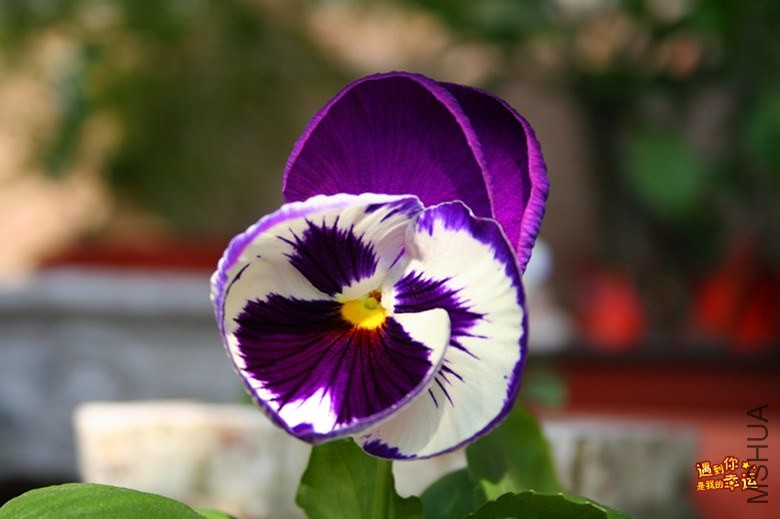 ��Ƭ 042_����.jpg