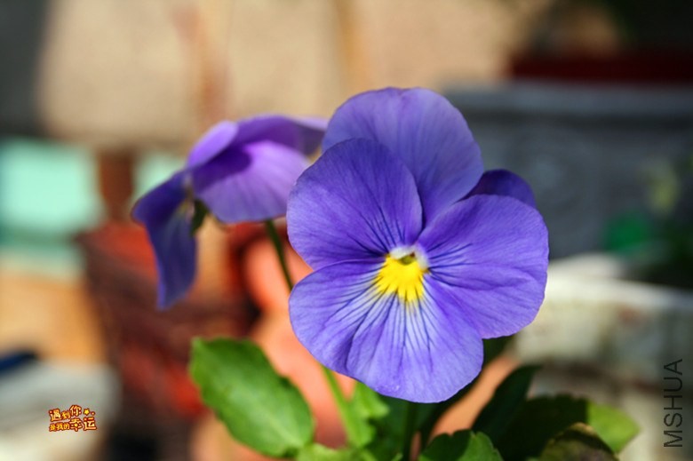 ��Ƭ 044_����.jpg