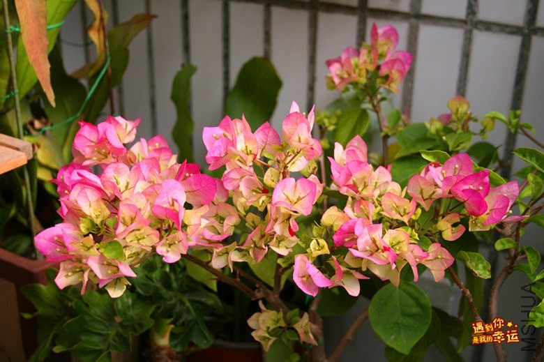 ��Ƭ 120_����.jpg