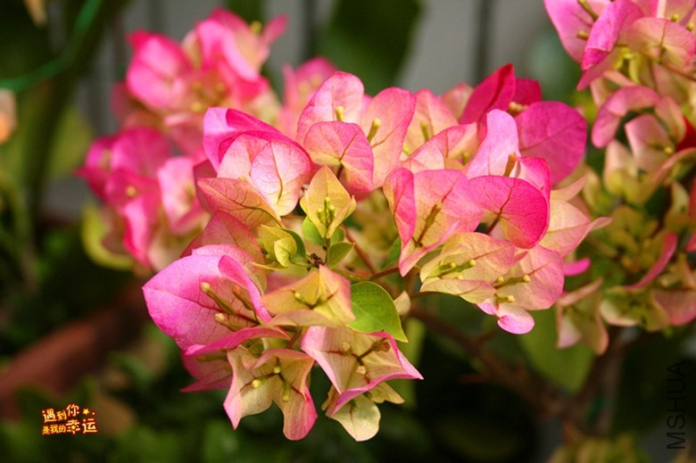 ��Ƭ 121_����.jpg