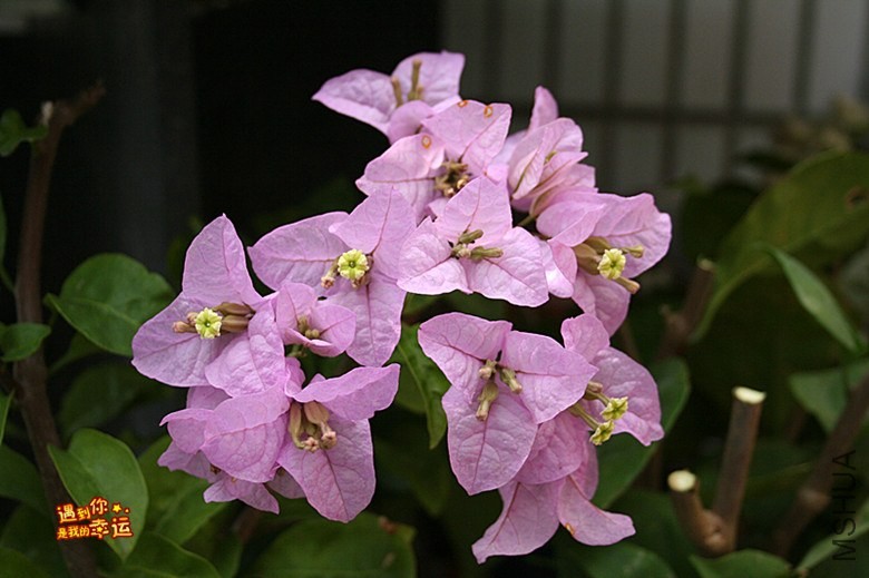 ��Ƭ 124_����.jpg