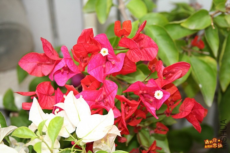 ��Ƭ 126_����.jpg