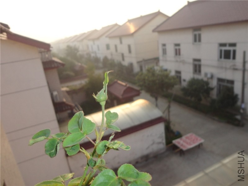 DSC06006.jpg
