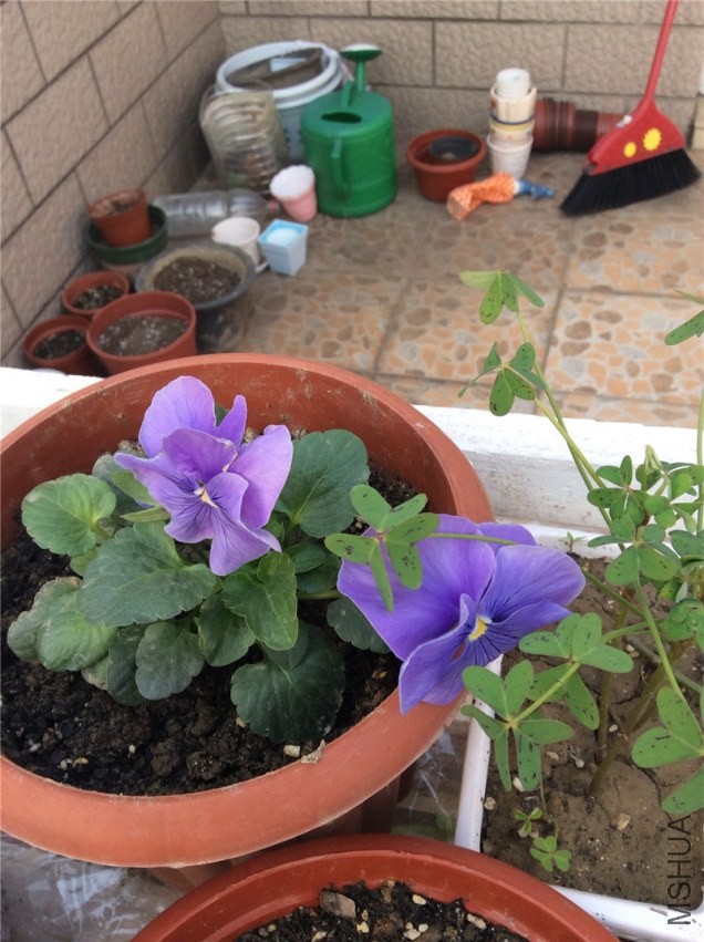 QQͼƬ20131202124910.jpg